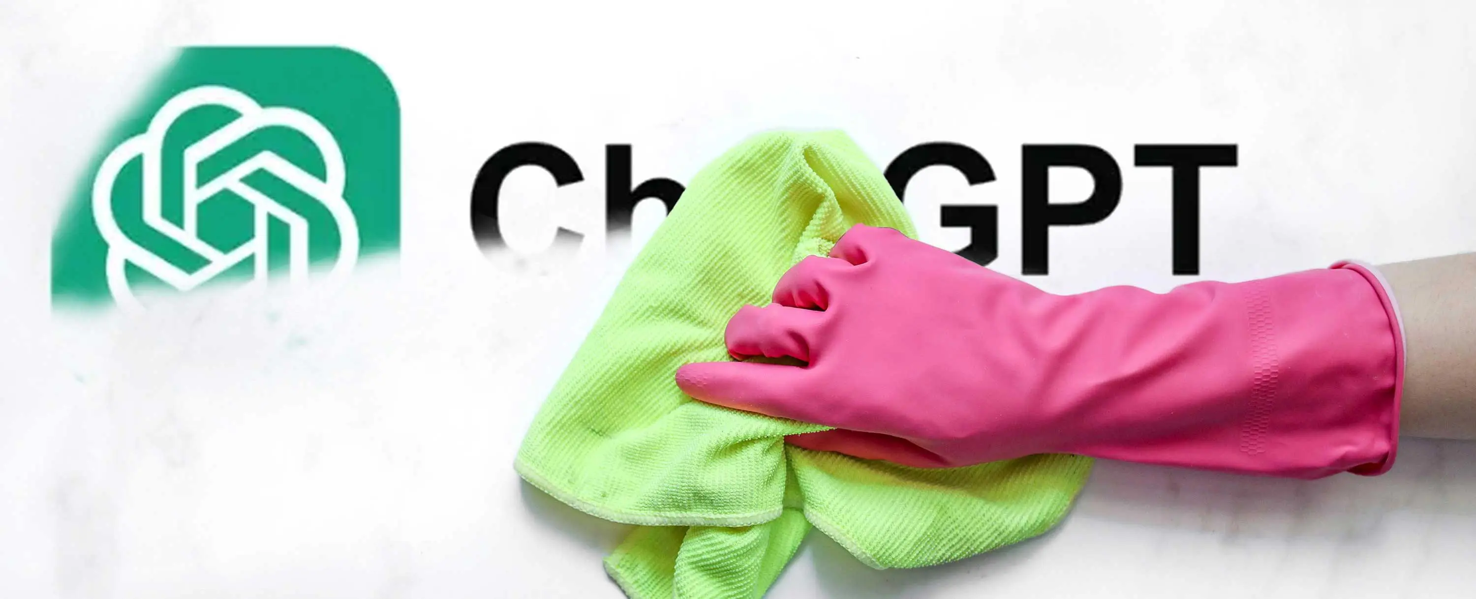 Why and How to Memory Wipe ChatGPT